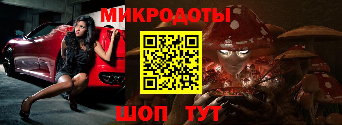 Острогожск  Псилоцибиновые грибы прущие грибы  Вход с VPN 